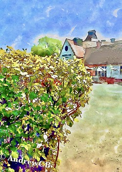 Manor Arms, Worcester